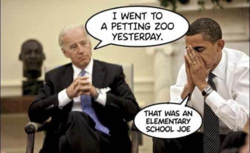 joe zoo