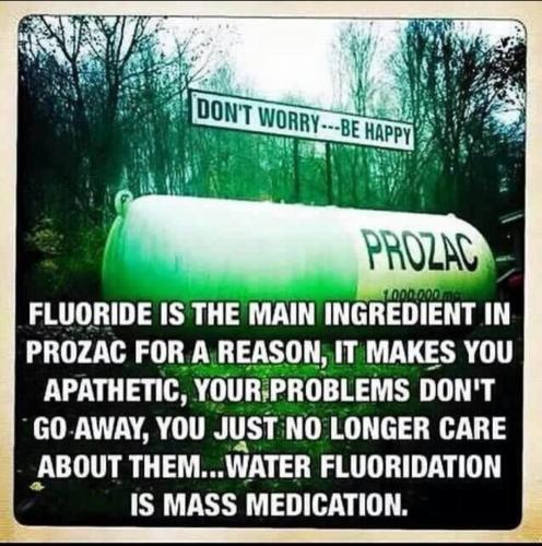 Screenshot_20220211-114518_Telegram