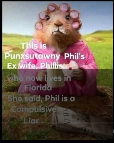 photo5176992861378423327