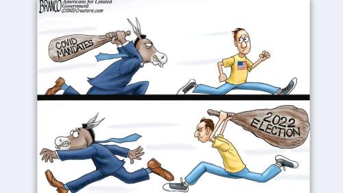 4901eb5153f926d7729fe020d3ec51de_1024