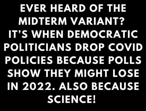 IMG_20220217_161933_313