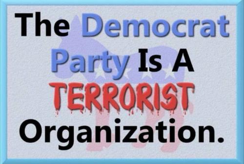 43952954_10215405047217953_8291889124655235072_n