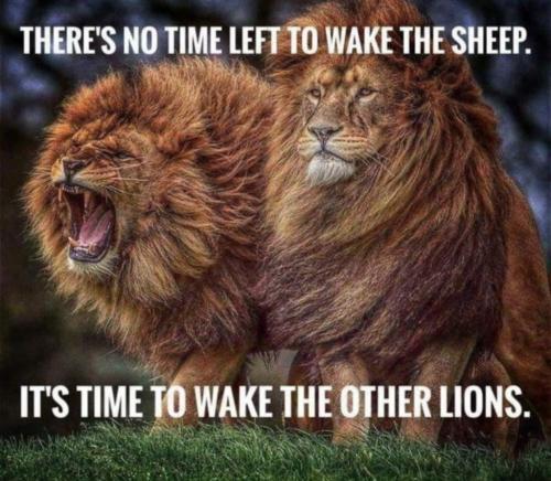 1f14db55-5ff1-4c6c-9425-72b8ebe039e2