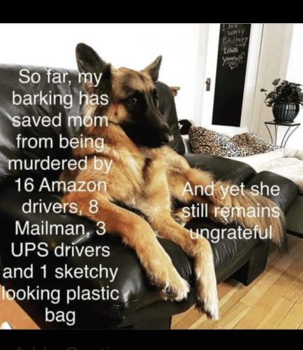 38A536FE-21A5-402E-9039-3EB969F53E98