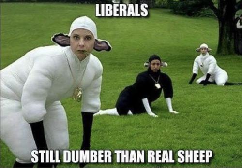 75C879FF-B031-4E46-9ECA-74E7E8639E8A