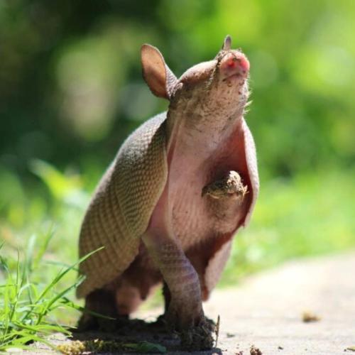 C0D88A5C-D4CA-4758-BA7B-920E2FAD9515