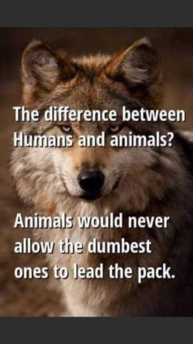 Screenshot_20220222-070304