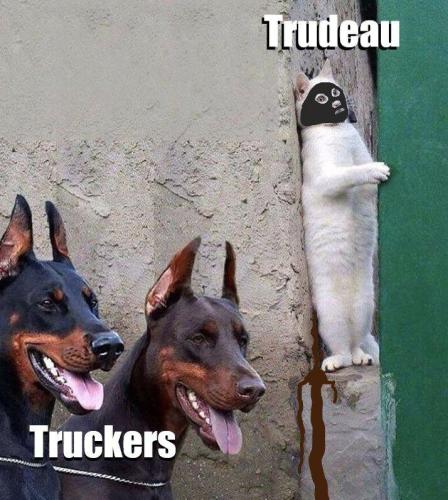 IMG_20220209_144711_012