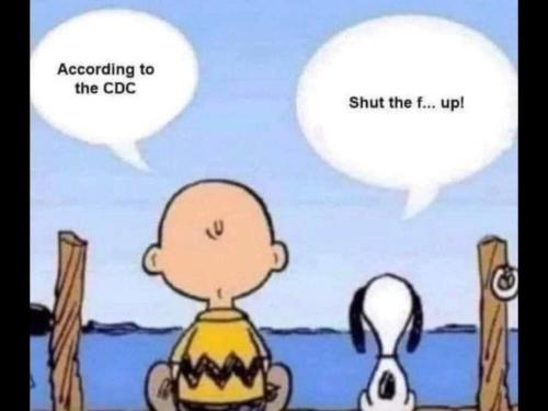 2056e910-3d2c-40a8-a545-9729d1ab4c9a