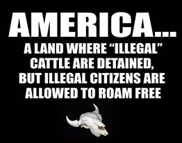 187137812_465698254717667_525829231685837912_n_465698251384334