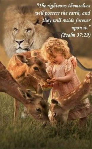 FB_IMG_1618516071122