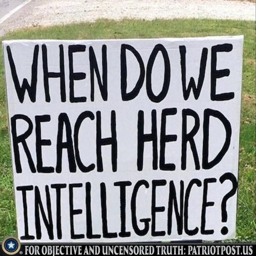 F3F60808-9F16-4CB5-8589-5175BD0C0319