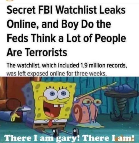 Tumblr_l_2754042280354