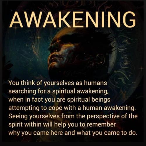 IMG_20211119_002930_653