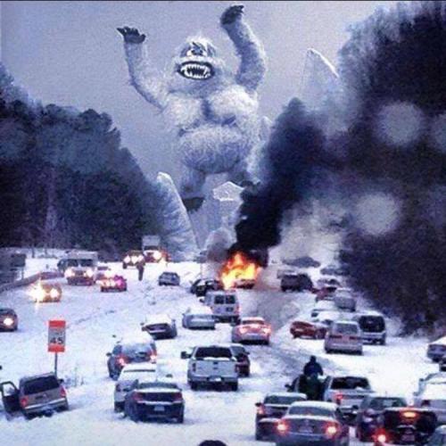 abominabull snow thang