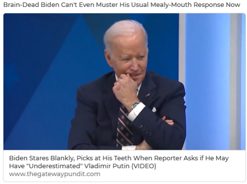 Brain-dead Biden