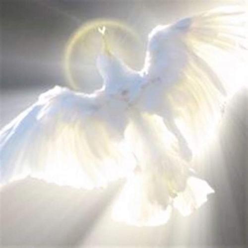 FB_IMG_1615471042908