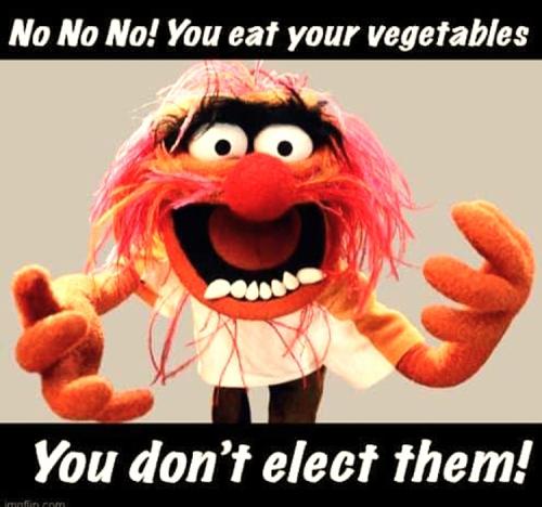 R vegetables