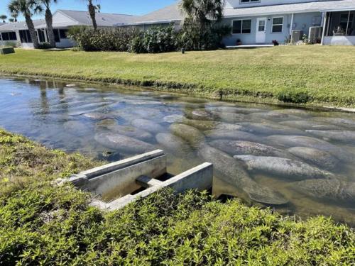 85E30CBC-0EA4-4C28-89AD-898E9D75FBD6