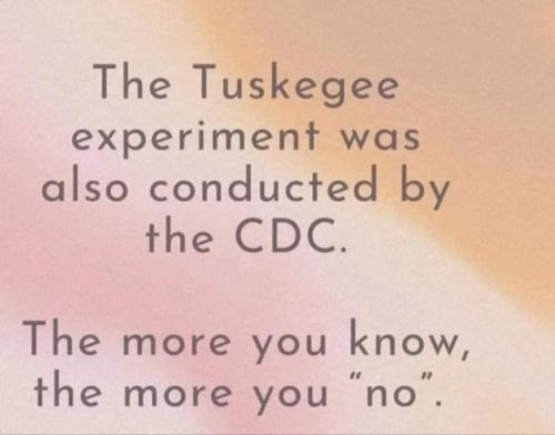 8B584151-6016-496D-816C-DD00827541D5