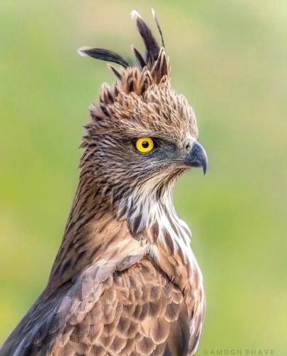 5D5A75EA-DF1B-4E1E-86A7-20808576E89B