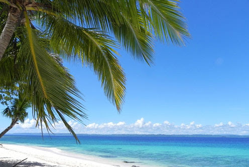 The Disappearing Dictators