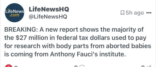 E24CB6E5-3F96-4EB4-A98D-20EA47E9046E