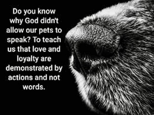 1645343225104_hub_od_