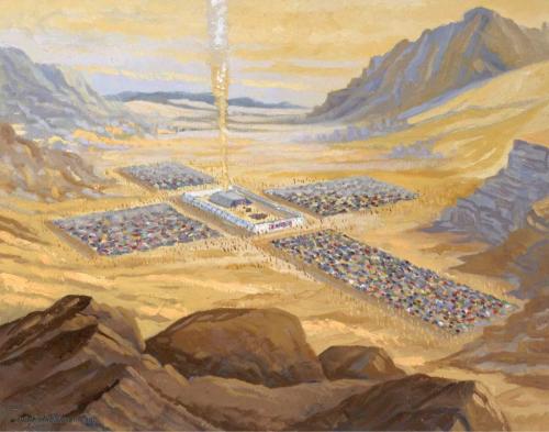 FB_IMG_1645646826006