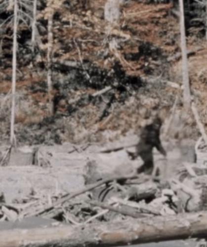 Screenshot_20220204-065330_TikTok