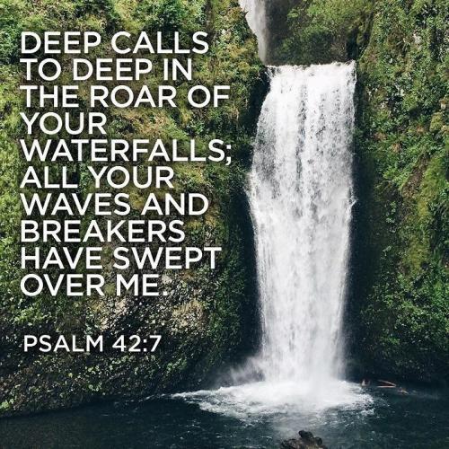 f48c3578-aed6-49dd-965d-9311f347a4f5