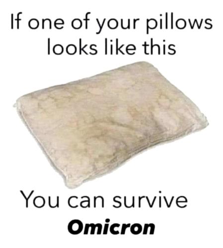 8CC807A6-710D-4F5D-8869-7AFECF2D8FF0