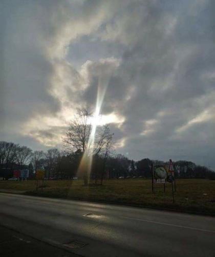 IMG_20220211_112329_450