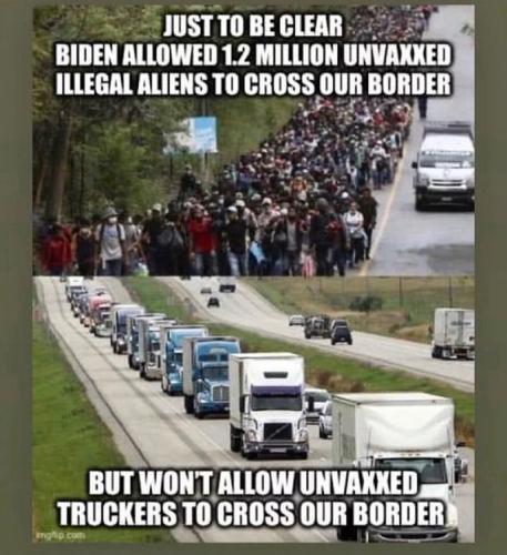 ad4811a877c8fd1d09d4bd295ee3cfd5_500x0