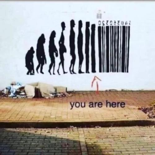 ff7cf2b3-312a-4c13-bd41-dc308d83d09a