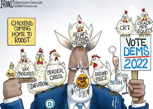 AF Branco Democrats In Trouble Chickens Coming To Roost