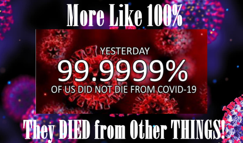 FakeCovid-Plandemic-053306