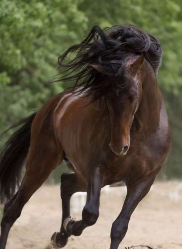 754F7667-65A1-4421-98E3-F933FA376FE8