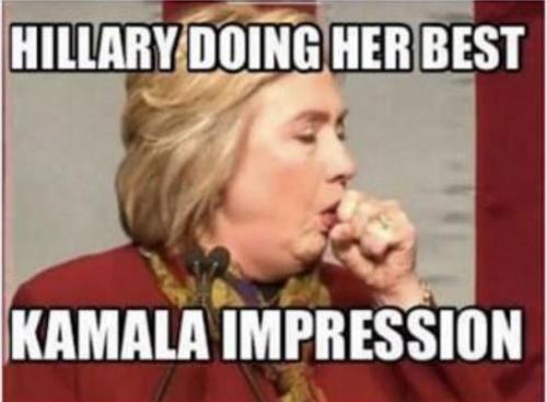 bidenhillarydoeshoho