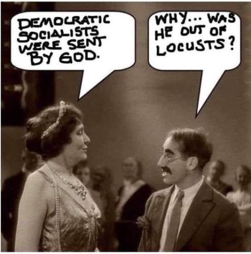 locusts