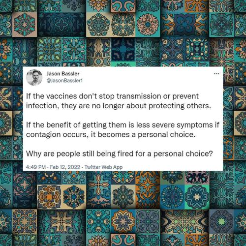 img - 2022-02-19T084924.552