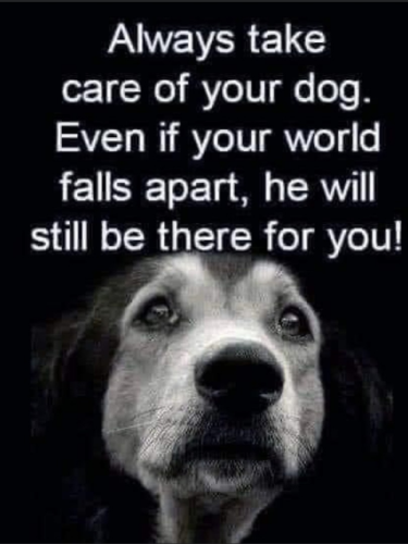 1644171697234_hub_od_