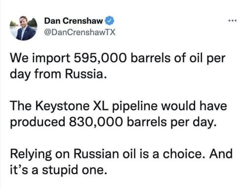 Stupid Choice