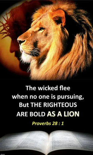 Screenshot_20220216-145708