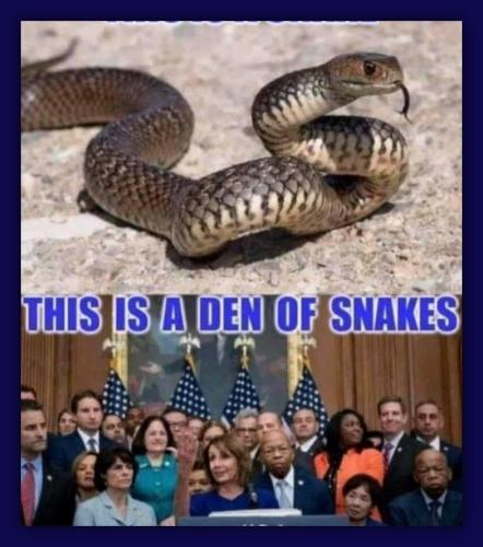Democrat Snakes