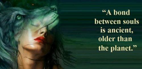 C17274C7-71C8-4502-973F-67023B6CBCC3_1_102_o
