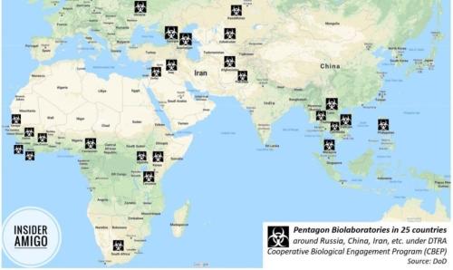 photo4960795512051706600