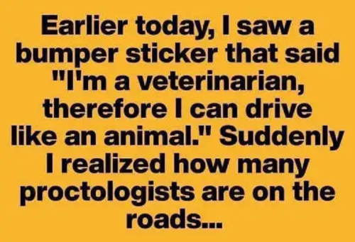 I'm a Veteraniarian