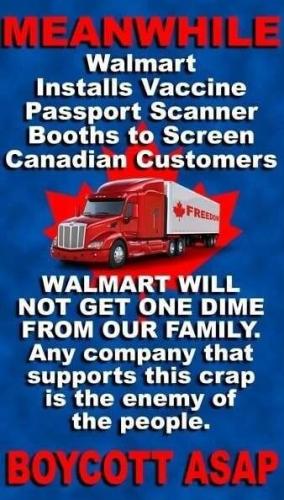 WALLY WORLD