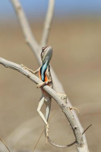 F4753B4B-1E2D-4F78-AFAE-3B6ABB640E5D